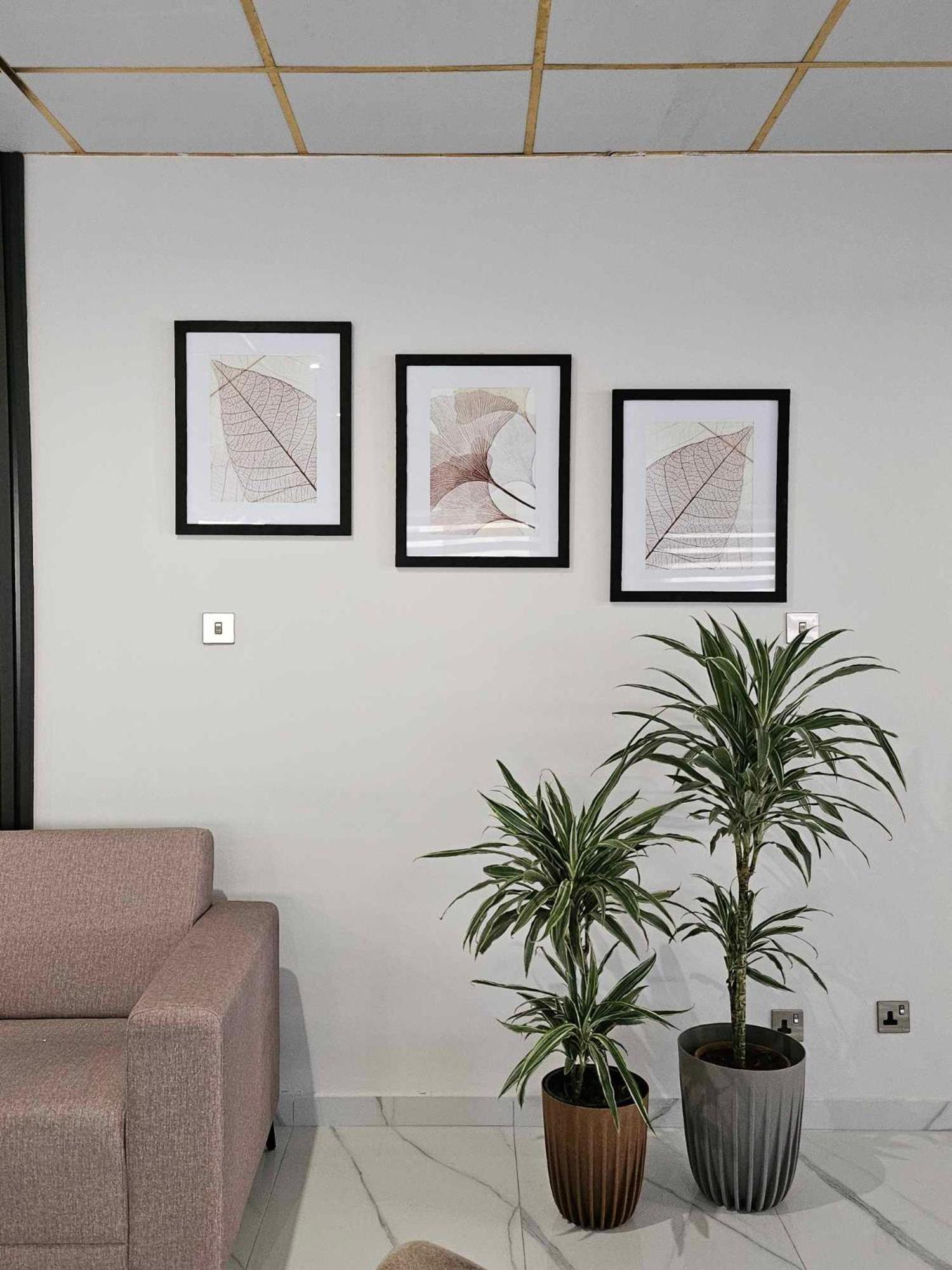 ليماسول Polyxeni Hotel Apartments المظهر الخارجي الصورة